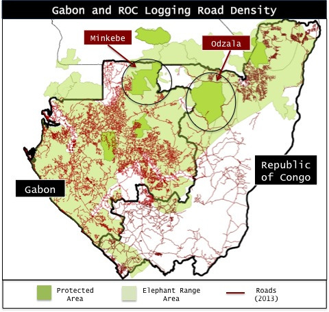 Expansion of roads and logging roads into and around the two major elephant habitats in Republic of Congo and Gabon.
