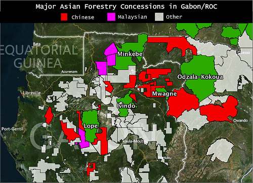 Chinese logging concessions mapped next to national parks in Gabon and Republic of Congo – high risk for poaching.