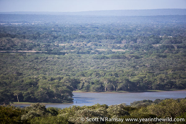 The view of Nyamithi Pan from the viewing tower near the entrance gate to Ndumo.
