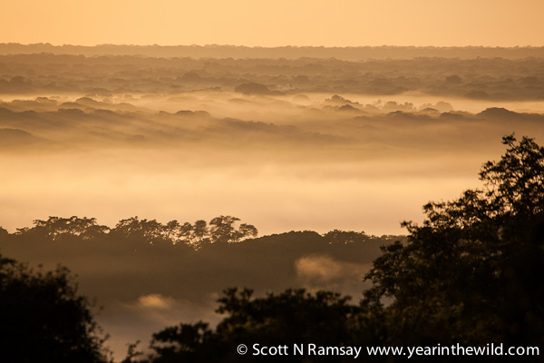 Early morning, looking out over the Pongola River valley. This photo taken from the camp at Ndumo.