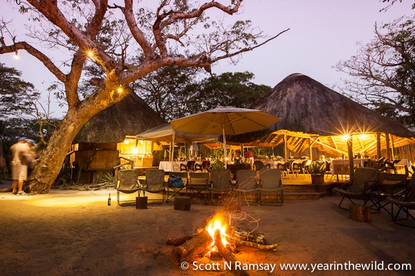 The laid-back Tembe Lodge is great for families or couples who don't want to pay the earth for an authentic wildlife experience.