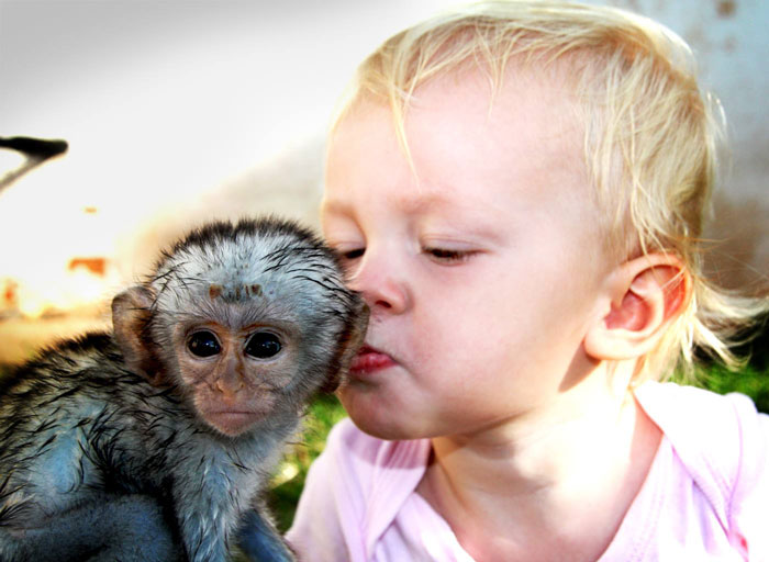 monkey-kisses