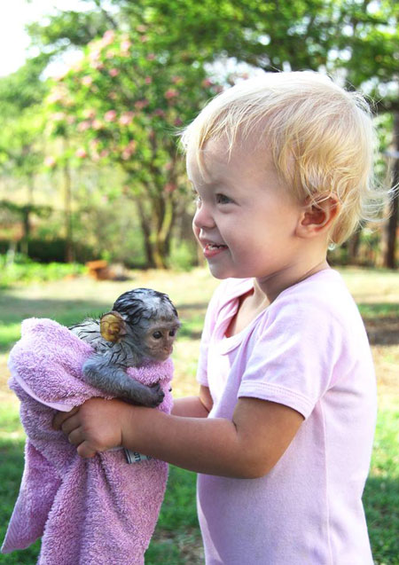 rescued-baby-monkey