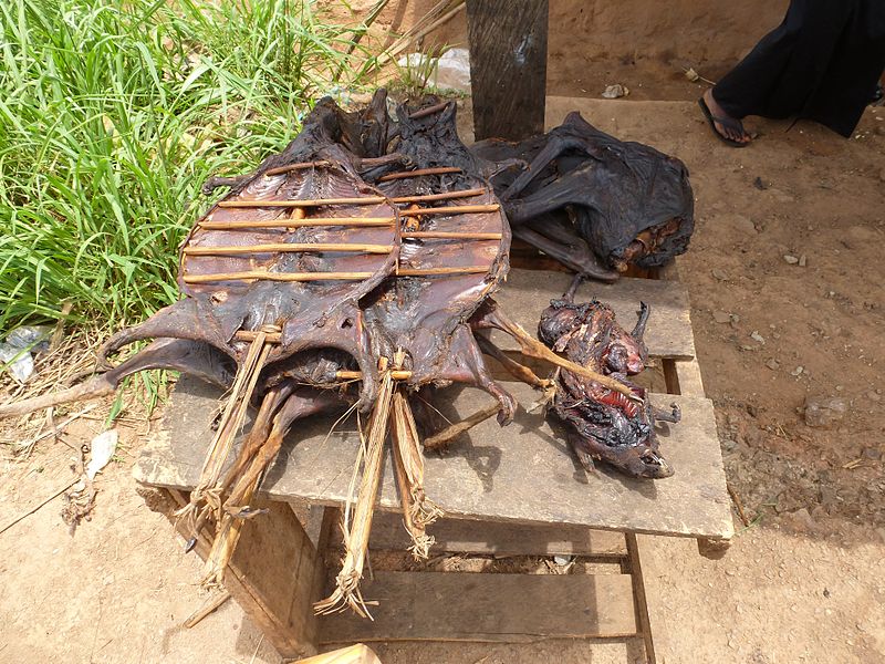 On the roadside in Ghana, bushmeat such as cane rat, giant pouched rat, and red-flanked duiker are on sale. Photo courtesy of Wikiseal under a Attribution-ShareAlike 3.0 Unported (CC BY-SA 3.0) creative commons license. 
