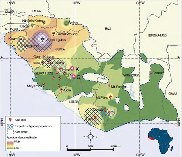 The early outbreak towns of Guéckédou (G) and Kissidougou (K) are near chimpanzee habitat. Courtesy, State of the Apes, Arcus Foundation. 
