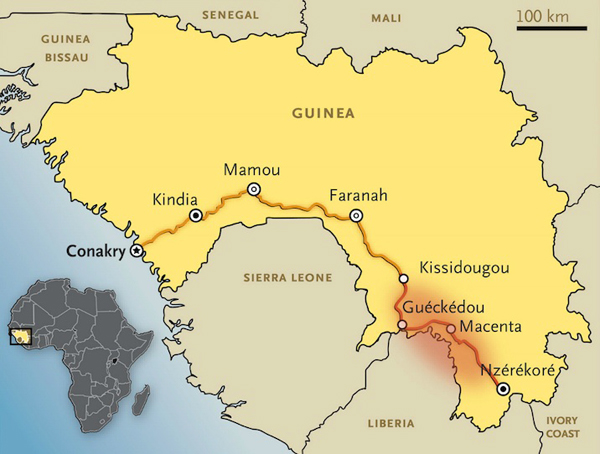 The main road connecting Conakry with Guéckédou borders important western chimpanzee habitat. Could an ape trafficker infected with Ebola have sparked off the outbreak? The red patch is the initial outbreak area. Courtesy of New England Journal of Medicine 