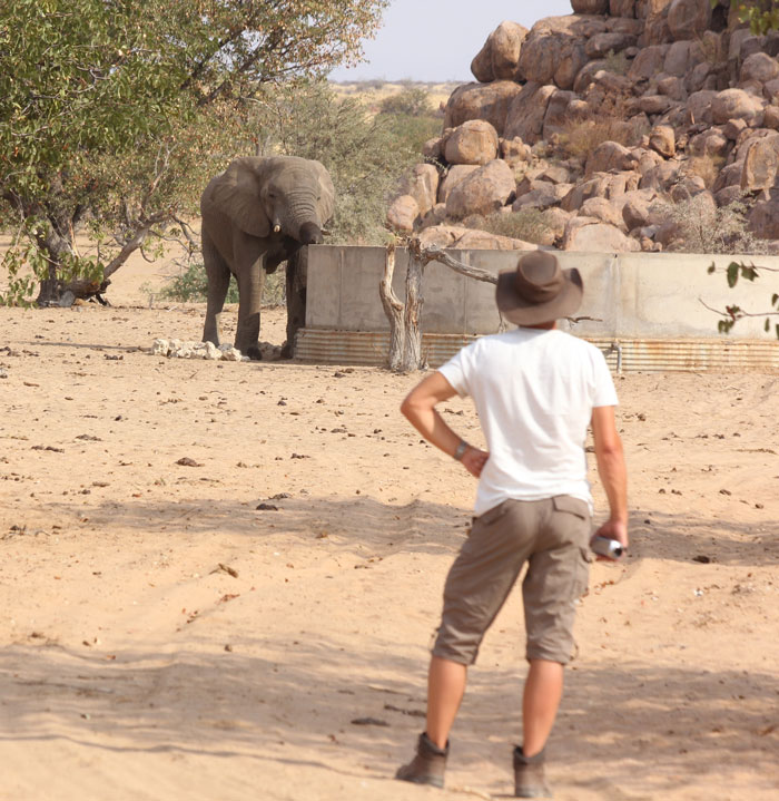 A tourist privileged to see a free-ranging elephant in Sorris-Sorris Conservancy.