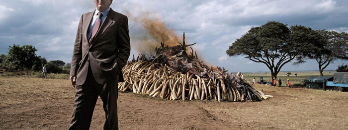 Richard Leakey in front of burning ivory in Nairobi National Park, Kenya, July 18, 1989. Jonathan & Angela Scott/Balance/Photoshot/ZUMA