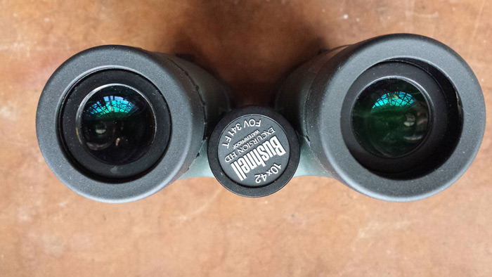 bushnell excursion hd 10x42