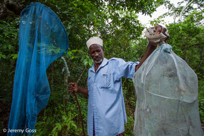 Members of the local communities are able to take advantage of income generating activities in the forest, such as this butterfly collector.