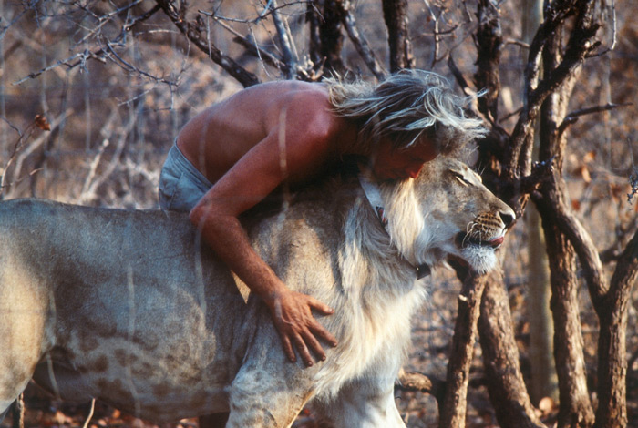 The great bond that existed between Batian the lion and Gareth Patterson. © Louise Gubb, 1990 
