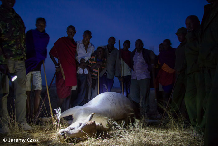 The emotion following the death of a cow is intense. In this Kenyan case a lion pride had killed two lions, but the promise of economic compensation was enough to diffuse the crowd.