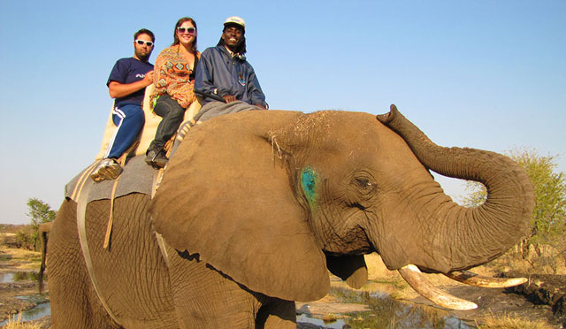 What to expect on an elephant back safari - Africa Geographic