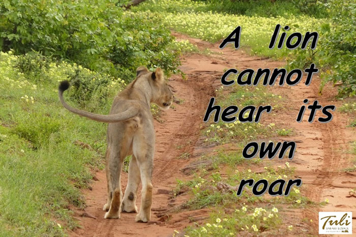 10 great African proverbs Africa Geographic