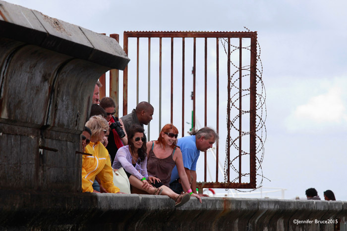 Onlookers watch happily as seal is saved