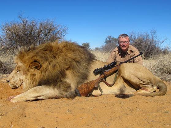 lion hunting