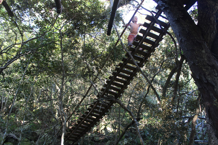 treehouse bridge