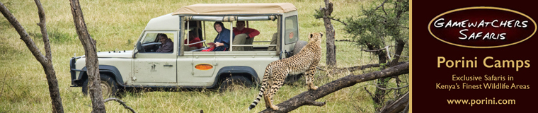 Porini Camps