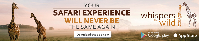 Whispers of the Wild