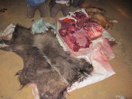 iSimangaliso confiscates skins and carcasses
