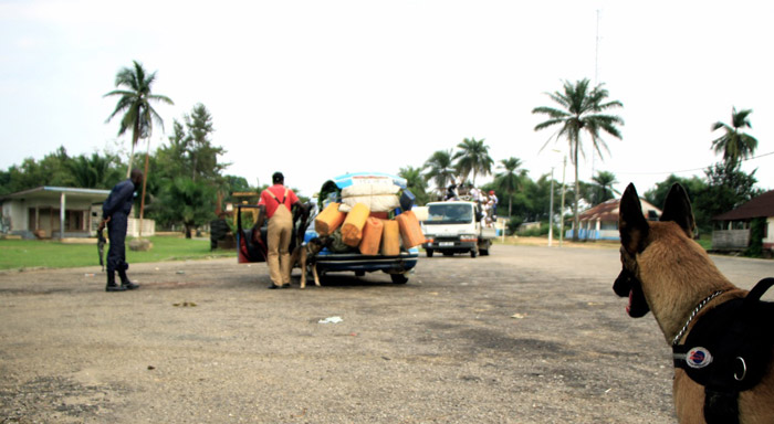 Kama waits excitedly for her turn to search a taxi in Madingou-Kayes north of Pointe-Noire.