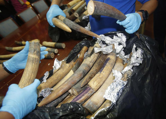 Thailand Seizes Ivory In Crates Marked As ‘marble’