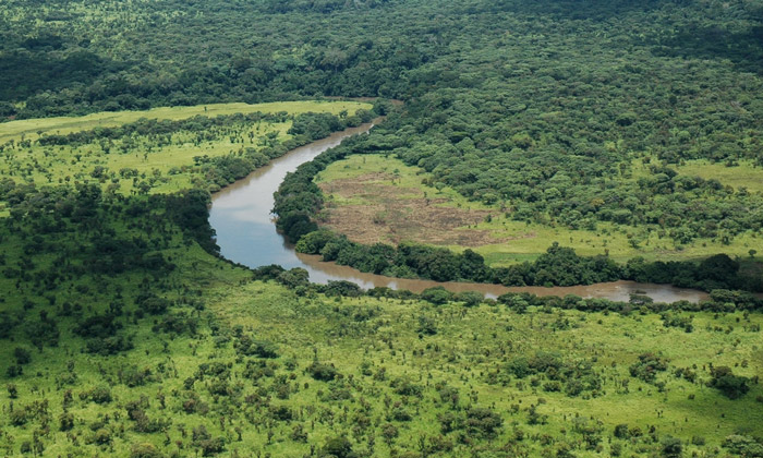 Aerial view of Garamba National Park, Democratic Republic of Congo. Last year 132 elephants were killed in the park by the Lord’s Resistance Army to finance its terrorist operations. © Xan Rice