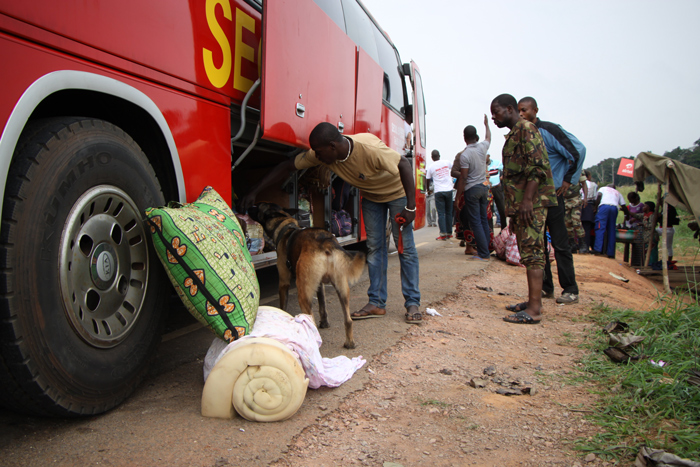Busses loaded with luggage and passengers are searched. This requires encouraging all the passengers to exit the vehicle and wait beyond the barrier while the dogs search the interior of the bus.