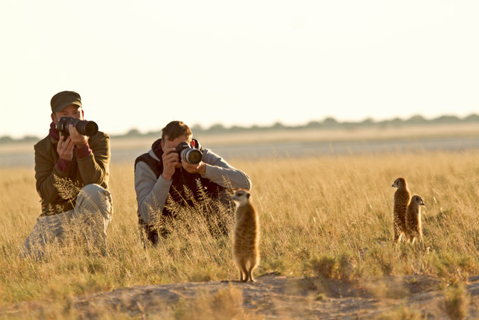 Christian-Boix-botswana-meerkats