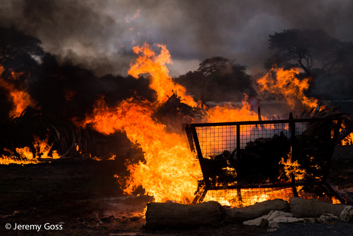fires-burning-ivory-kenya