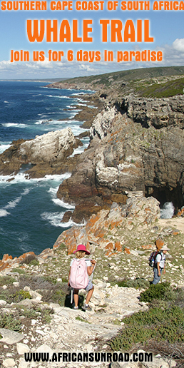 Africa Sunroad Africa Sunroad