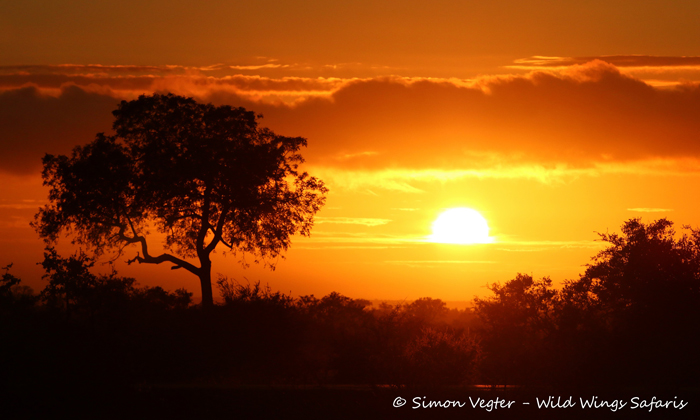 sunset-at-Kruger-National-Park