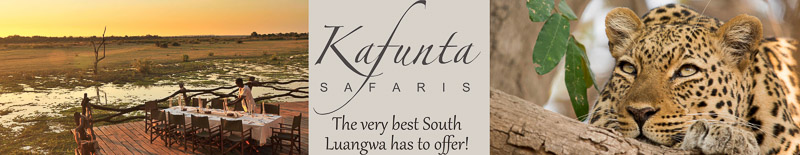 Kafunta Kafunta