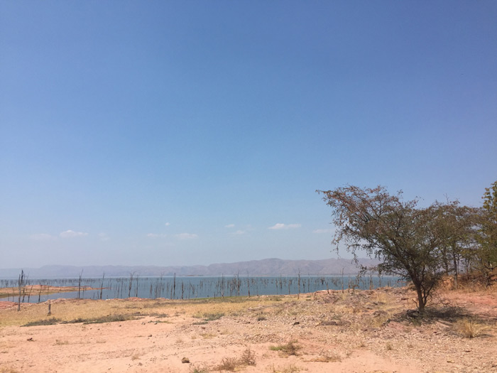 The effect of Lake Kariba's changing water levels Africa Geographic