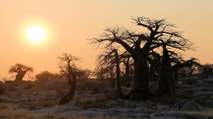 The beautiful landscape of the Kruger to Canyons area ©Wynand Uys 