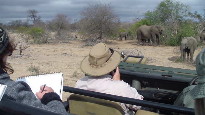 art-on-safari-sketching-elephants