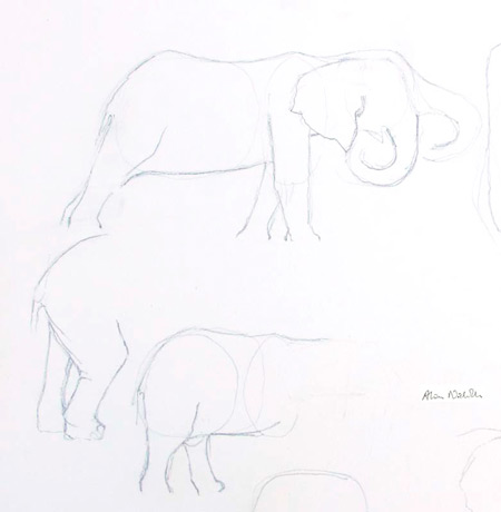 elephant-sketches