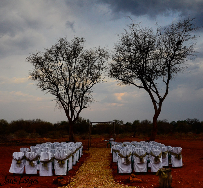 A Spectacular Wedding Bush Style Africa Geographic 2618