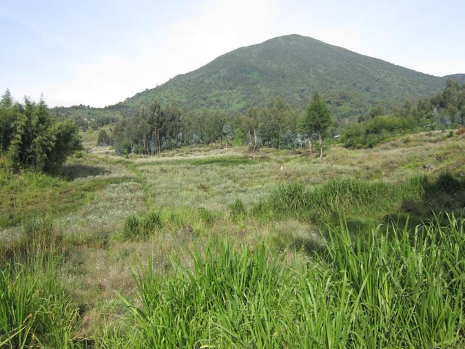 parc-national-des-volcans parc-national-des-volcans