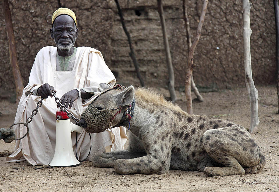 Hyena Men