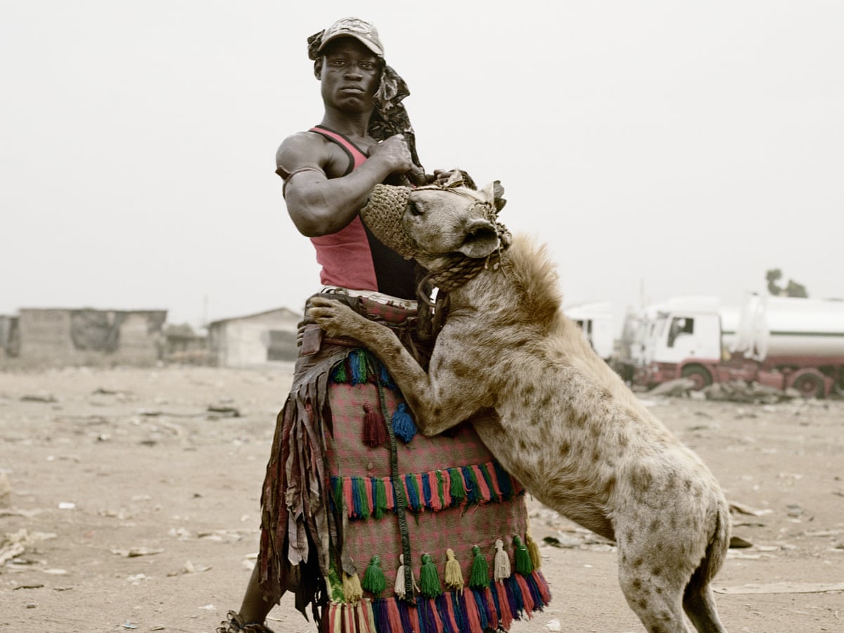 hyenas in africa