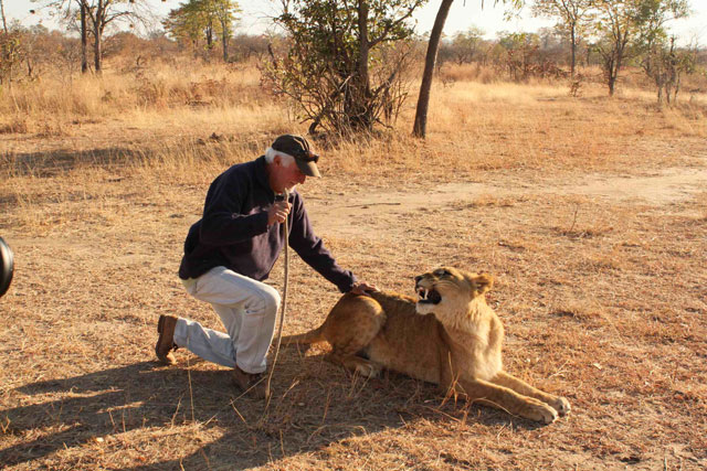 Walking with lions