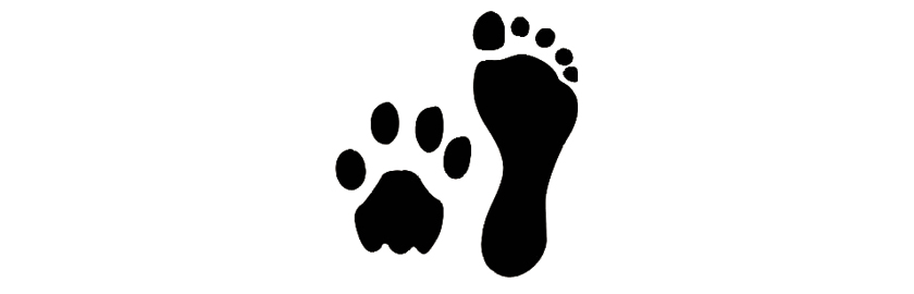 FOOT-PAW PRINTS