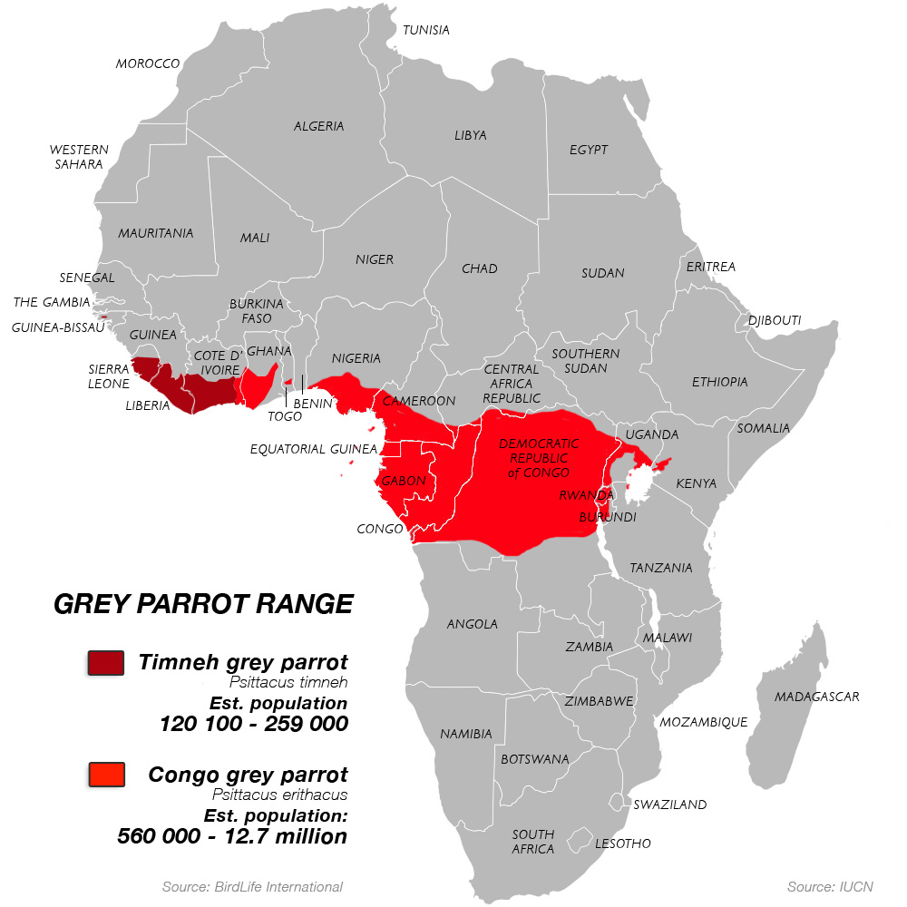 parrot habitat map