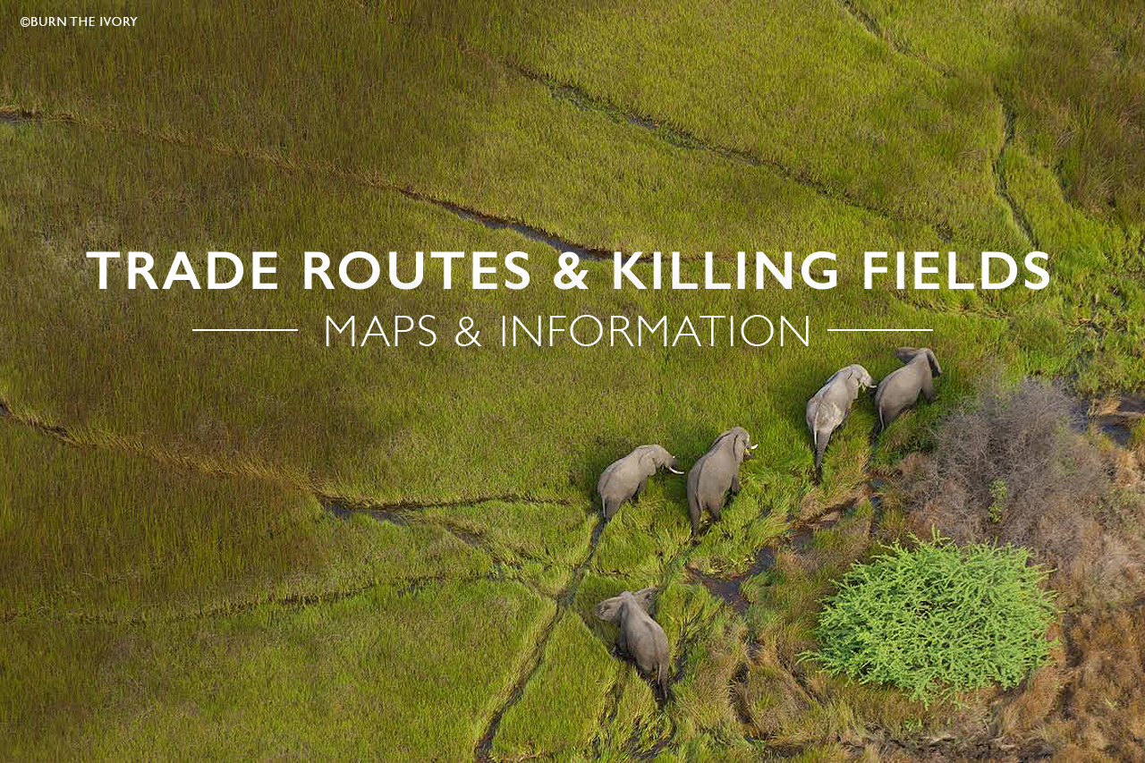 Trade Routes And Killing Fields   Ivory Trade Routes 1 