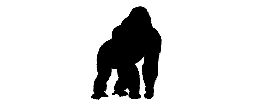 silverback gorilla silhouette