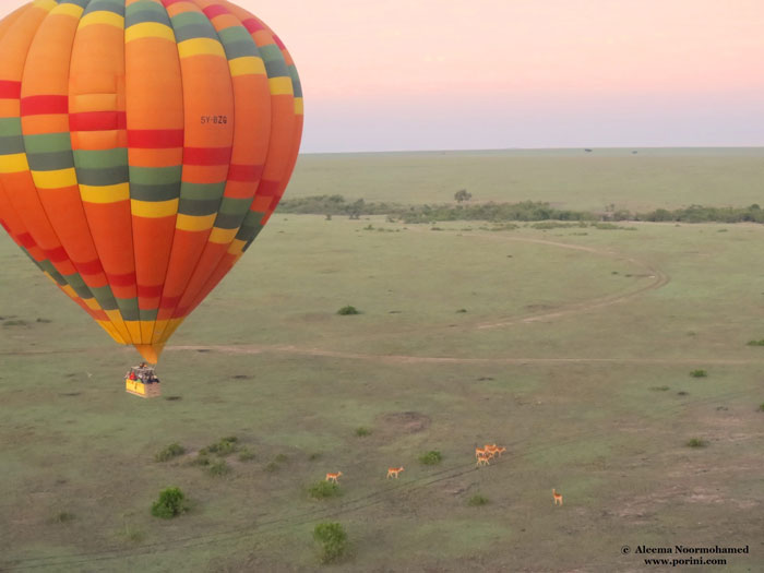 Why I love the Maasai Mara - Africa Geographic