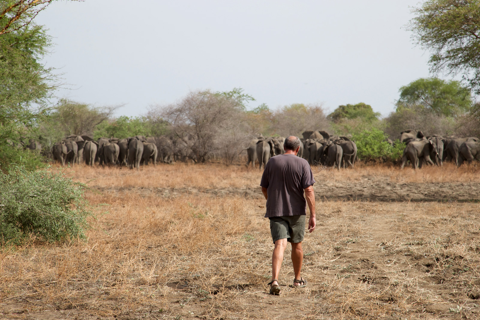 walking-zakouma