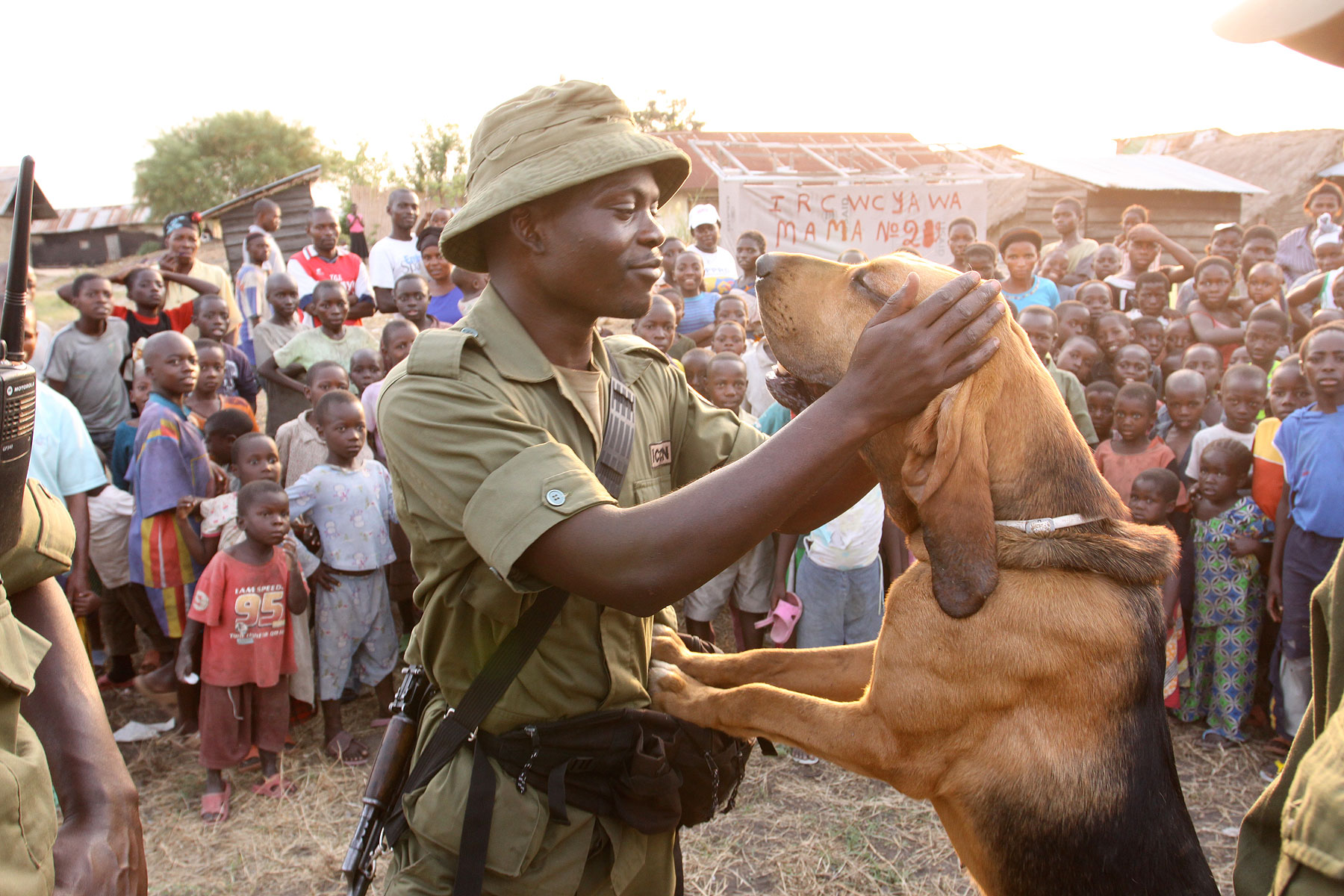 Congo-hounds-community