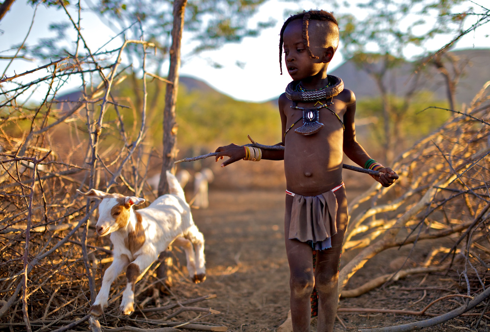 wild-born-himba-alegra-ally-2